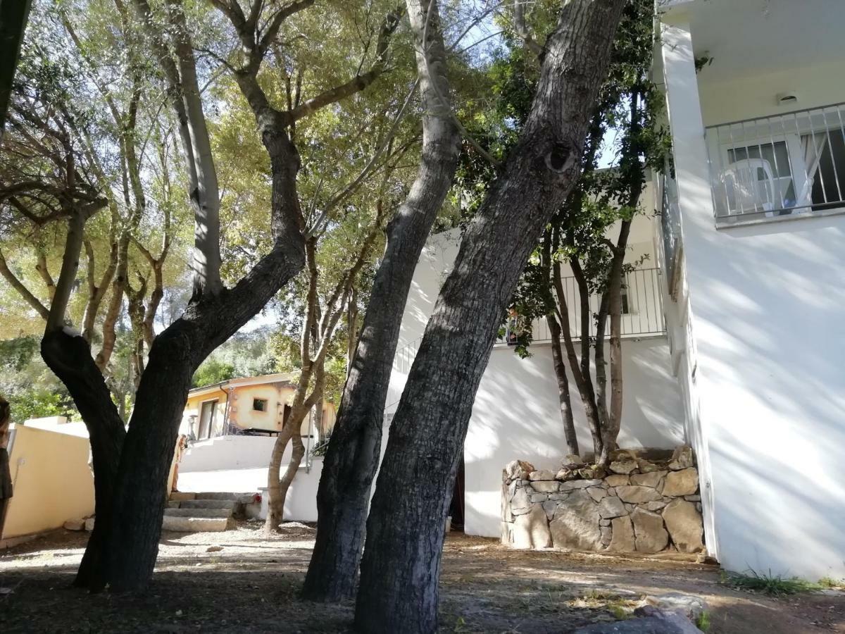 فندق In Campagna Da Nino أولبيا المظهر الخارجي الصورة