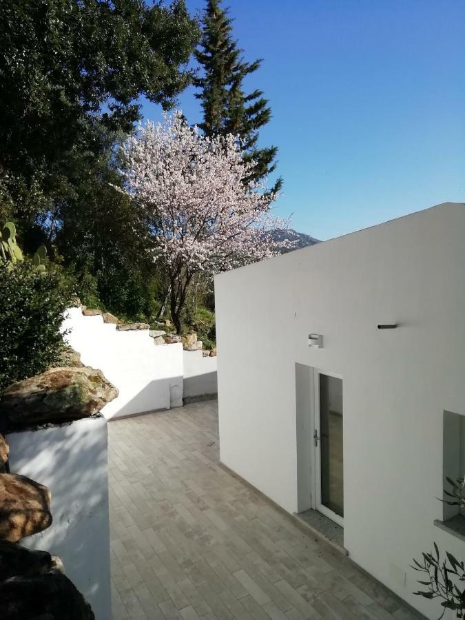 فندق In Campagna Da Nino أولبيا المظهر الخارجي الصورة